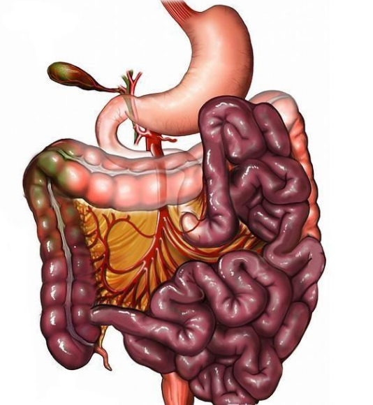 腸息肉者，排便出現(xiàn)3個(gè)異常，十有八九息肉已變成“癌”